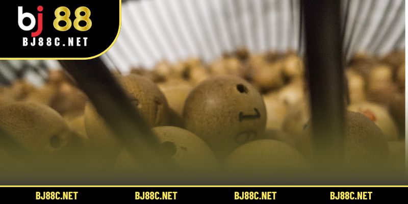 Hợp tác cùng các nhà cung cấp uy tín đảm bảo công bằng tuyệt đối