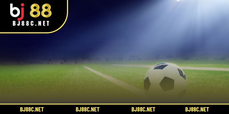 Hợp tác cùng các nhà cung cấp uy tín mang đến trải nghiệm cá cược đỉnh cao