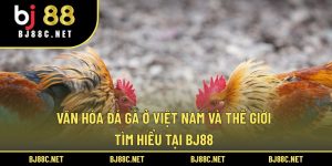Văn Hóa Đá Gà Ở Việt Nam Và Thế Giới: Tìm Hiểu Tại BJ88